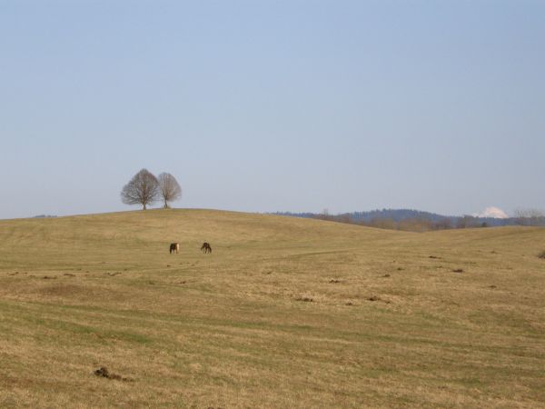 Uxelles (Jura)  